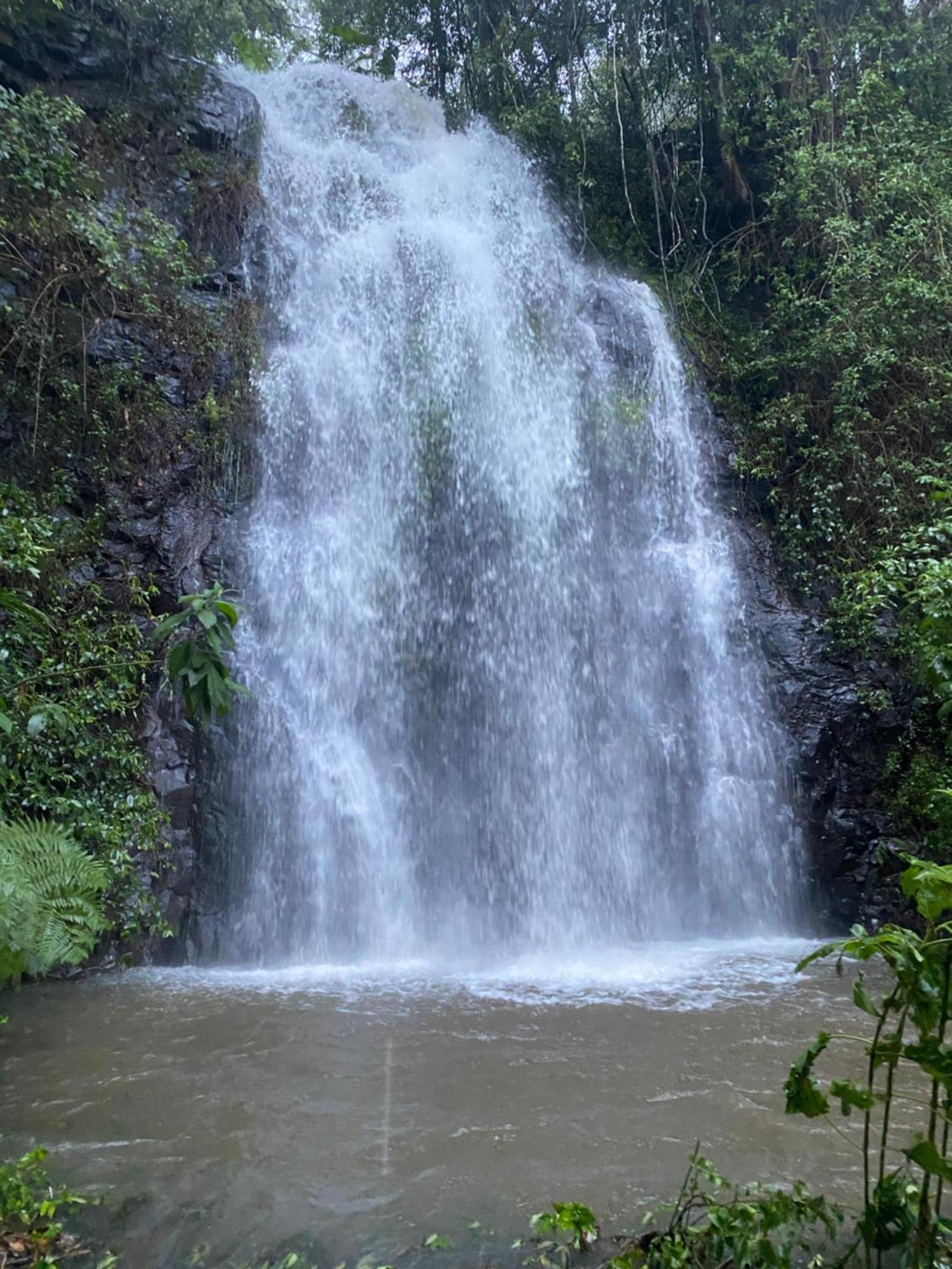 Nimbin Waterfall Retreat Hotel Exterior photo