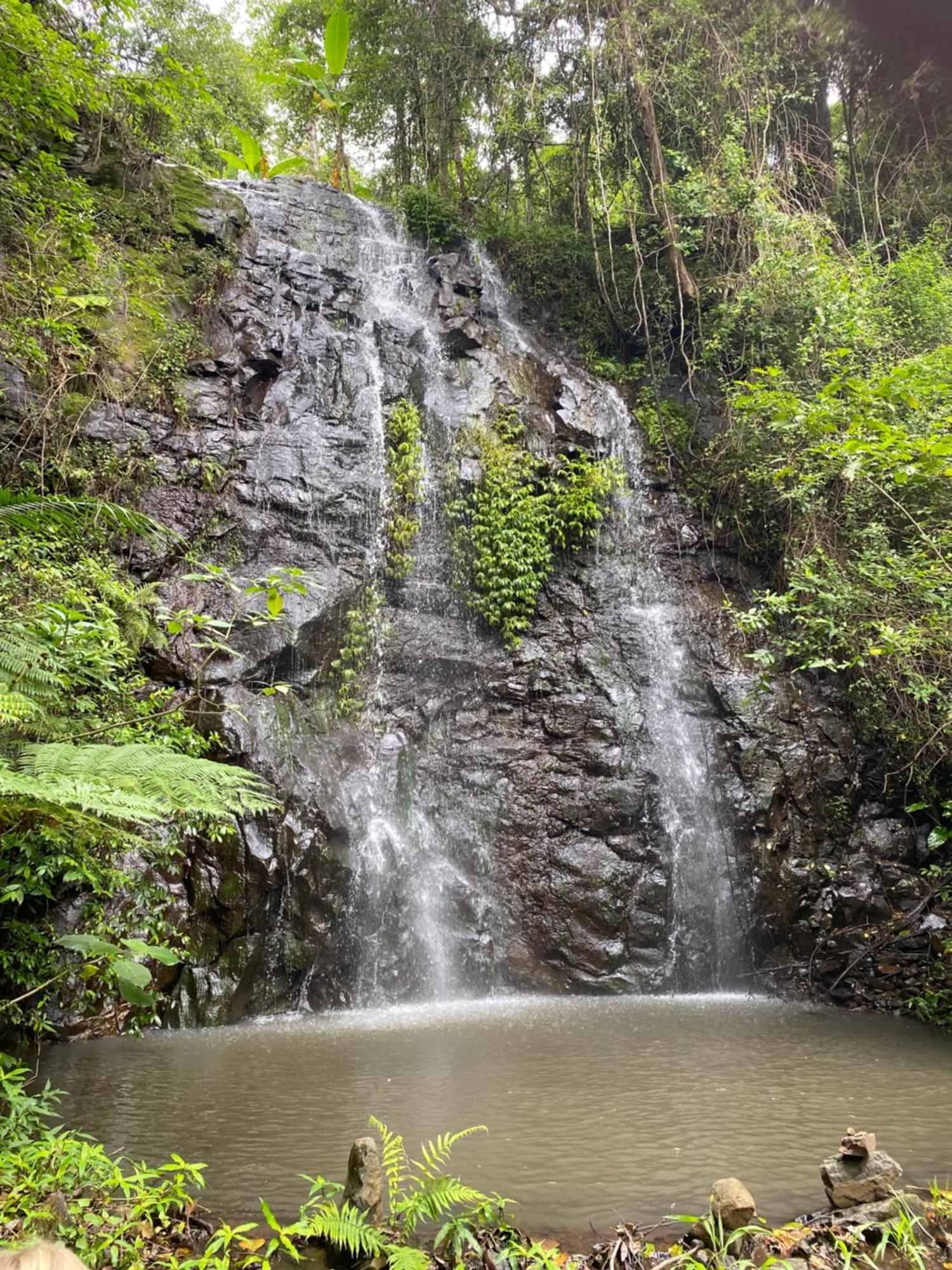 Nimbin Waterfall Retreat Hotel Exterior photo